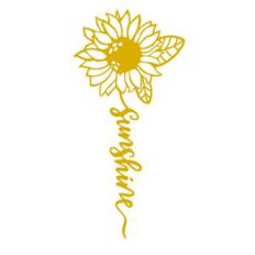 sunflower sunshine