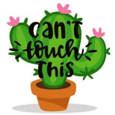 can't touch this cactus