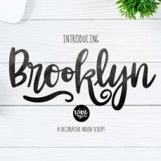 dtc brooklyn
