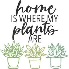 home is where my plants are