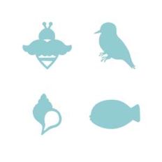 basic shapes