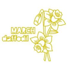 march flower daffodil