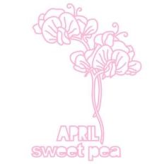 april flower sweet pea