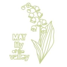 may flower lily of the valley