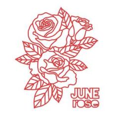 june flower rose