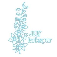 july flower larkspur