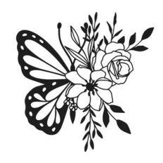 butterfly