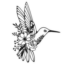 hummingbird