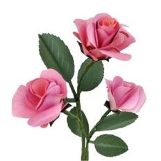 simple rolled 3d roses