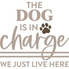 the dog is in charge