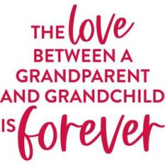 the love between a grandparent