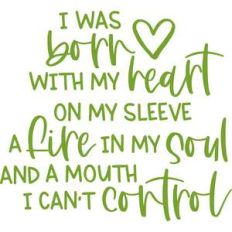 i was born with my heart on my sleeve