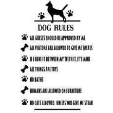 dog rules - dog funny sign