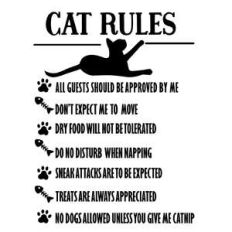 cat rules - cat funny sign