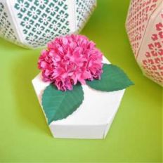 fiore box