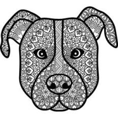 pitbull dog zentangle mandala