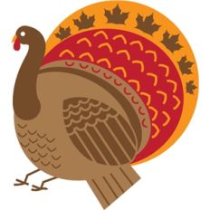 turkey
