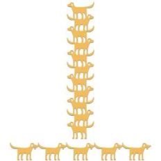 labrador retriever dog borders