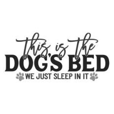 this is the dog's bed