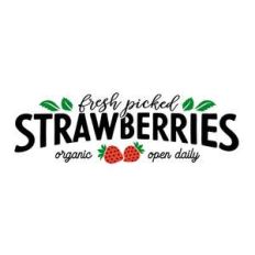 fresh picked strawberries