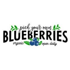 pick your own blueberries