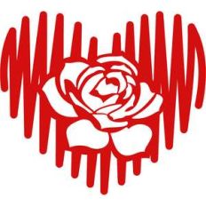 scribbled heart with rose flower