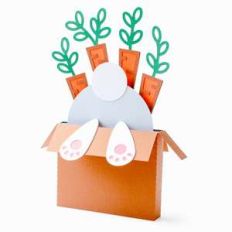 bunny in pot box card