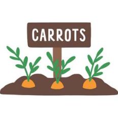 carrots