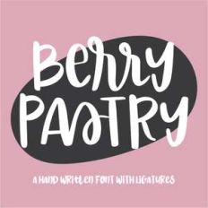 dtc berry pastry