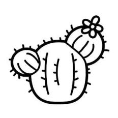 squatty cactus