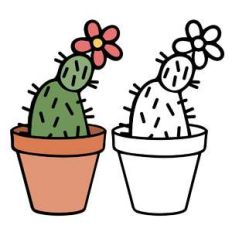 cactus in pot