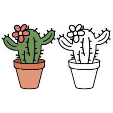 hugger cactus in pot