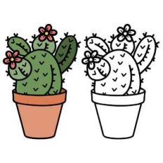 picky cactus in pot