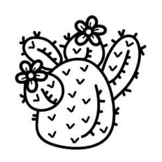 picky cactus