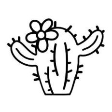 hugger cactus