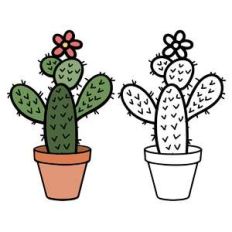 flat cactus in pot