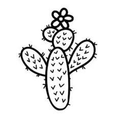 flat cactus