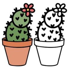 thorny cactus in pot