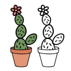 tall cactus in pot