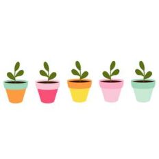 plants