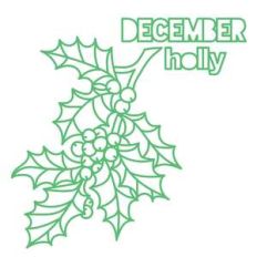 december flower holly