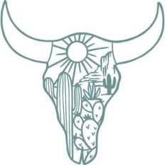 cow skull desert