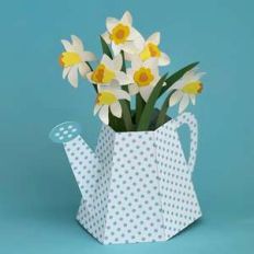 watering can with daffodils box card