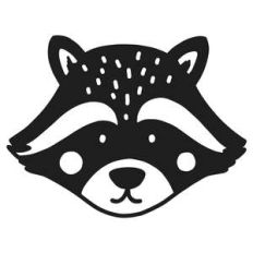 raccoon