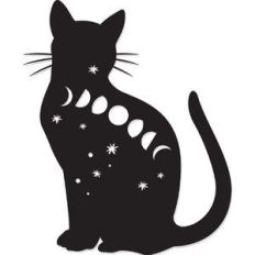 cosmic cat