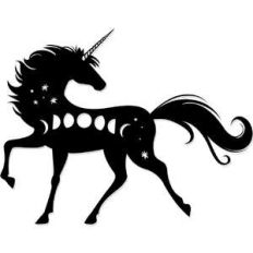 cosmic unicorn