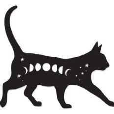 cosmic kitty