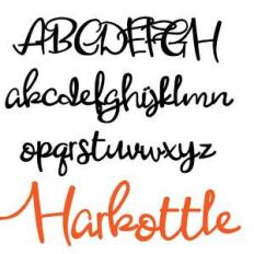 pn harbottle