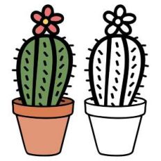 round cactus in pot