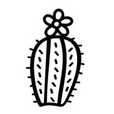 round cactus